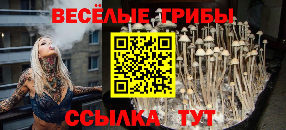 Псилоцибиновые грибы Magic Shrooms  Псилоцибиновые грибы мицелий  наркошоп  Вход с VPN  Губкинский 