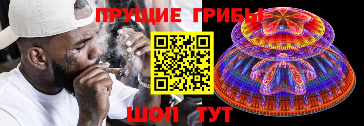 Галлюциногенные грибы мицелий Губкинский